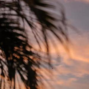 人间中毒电视剧免费观看全集在线天才酷客游戏法
