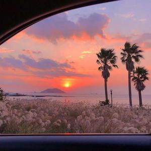 人间中毒电视剧免费观看全集在线天才酷客游戏法
